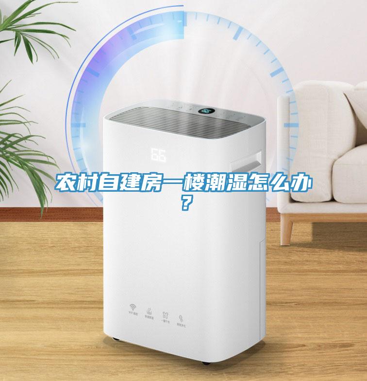 農(nóng)村自建房一樓潮濕怎么辦？