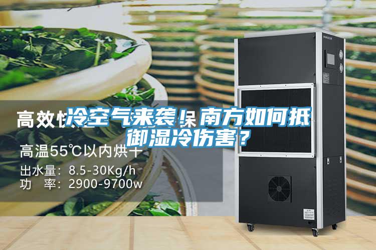 冷空氣來襲！南方如何抵御濕冷傷害？