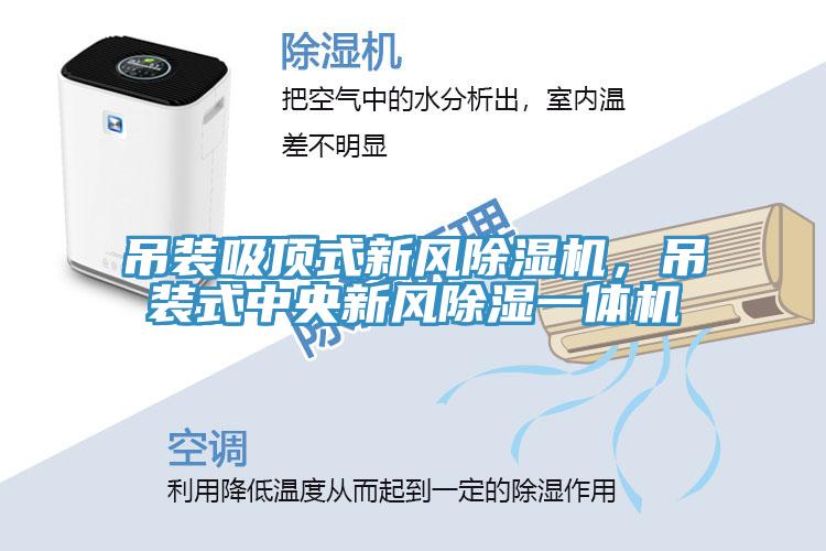 吊裝吸頂式新風(fēng)除濕機(jī)，吊裝式中央新風(fēng)除濕一體機(jī)