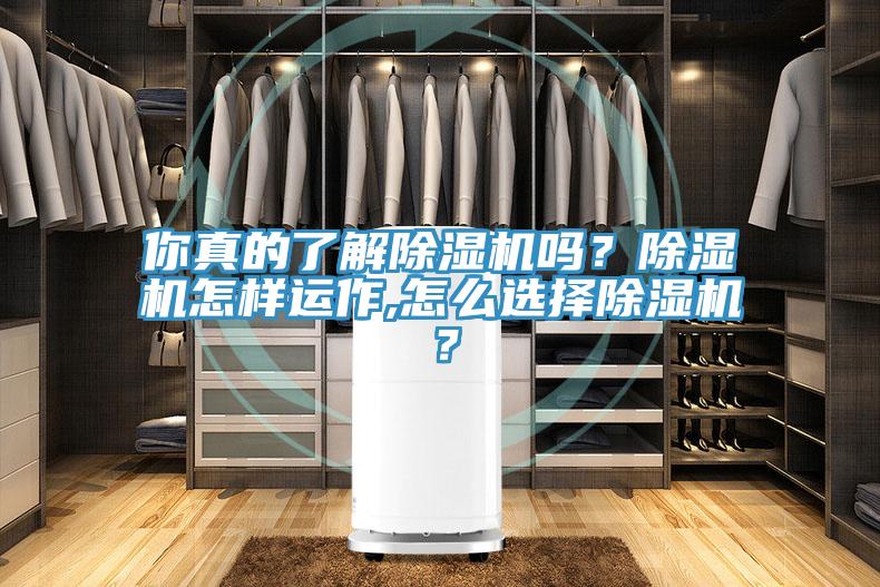 你真的了解除濕機嗎？除濕機怎樣運作,怎么選擇除濕機？