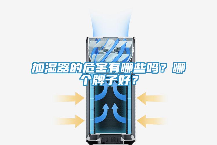 加濕器的危害有哪些嗎？哪個牌子好？