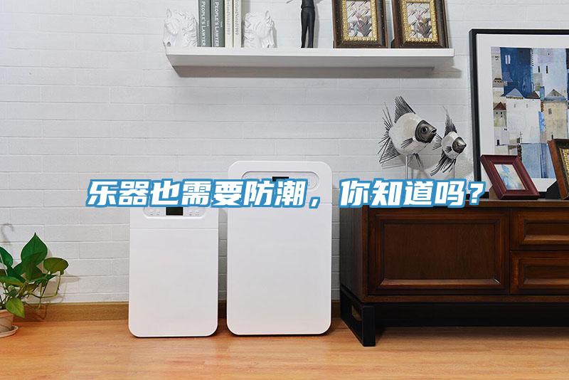 樂器也需要防潮，你知道嗎？