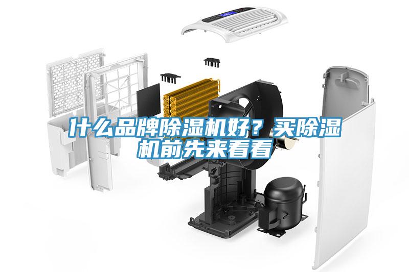 什么品牌除濕機(jī)好？買除濕機(jī)前先來看看