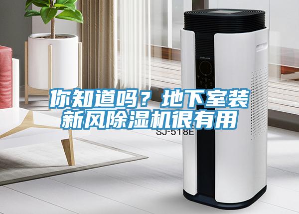 你知道嗎？地下室裝新風(fēng)除濕機(jī)很有用