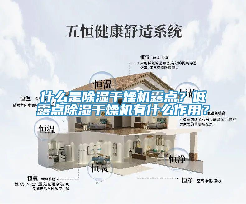 什么是除濕干燥機露點？低露點除濕干燥機有什么作用？