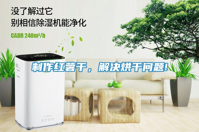 制作紅薯干，解決烘干問題!