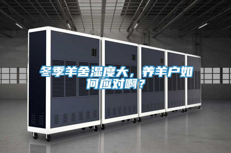 冬季羊舍濕度大，養(yǎng)羊戶如何應(yīng)對(duì)??？