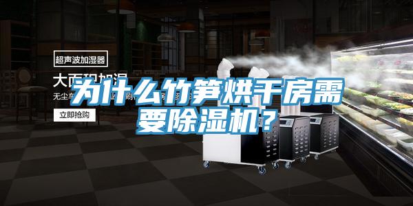 為什么竹筍烘干房需要除濕機？