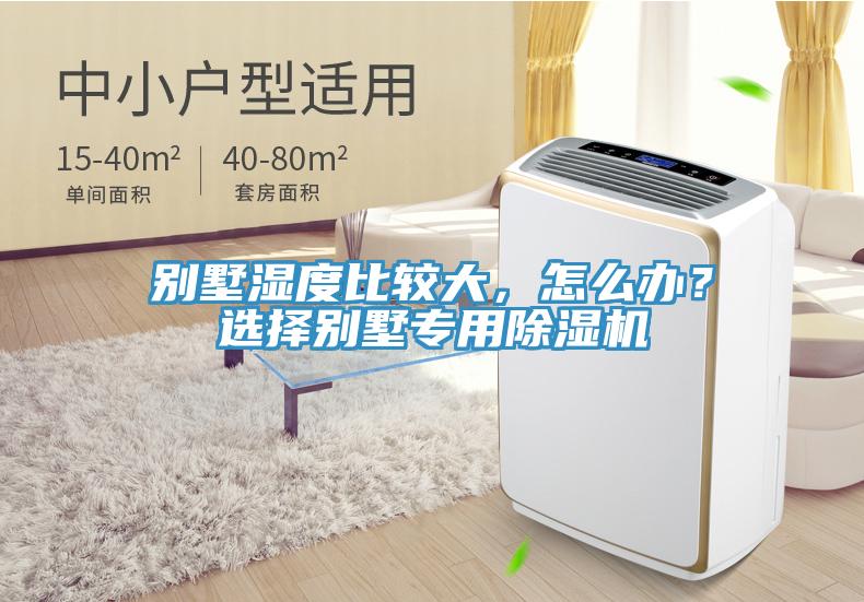 別墅濕度比較大，怎么辦？選擇別墅專用除濕機
