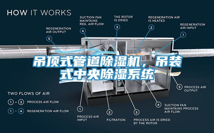 吊頂式管道除濕機(jī)，吊裝式中央除濕系統(tǒng)