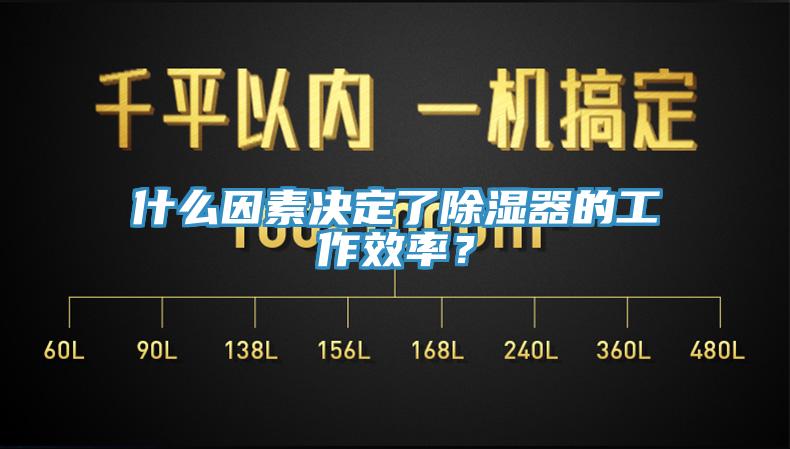 什么因素決定了除濕器的工作效率？