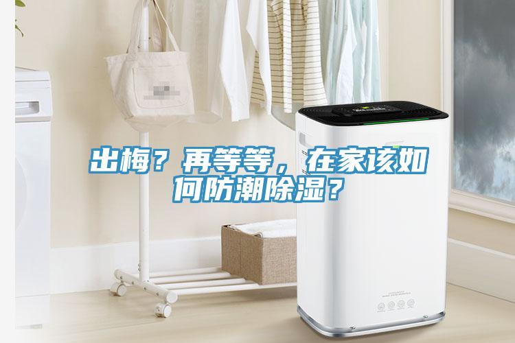 出梅？再等等，在家該如何防潮除濕？