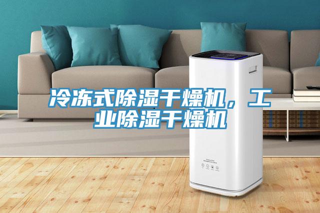 冷凍式除濕干燥機(jī)，工業(yè)除濕干燥機(jī)