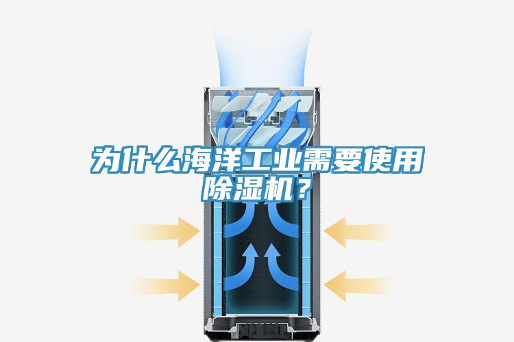 為什么海洋工業(yè)需要使用除濕機？