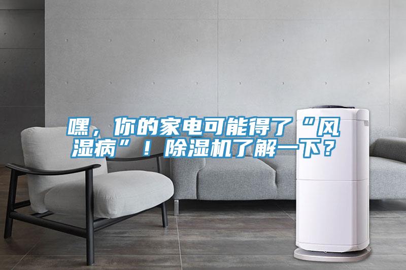 嘿，你的家電可能得了“風濕病”！除濕機了解一下？