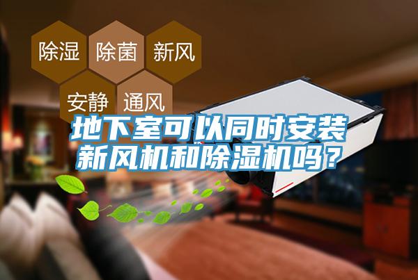地下室可以同時安裝新風機和除濕機嗎？