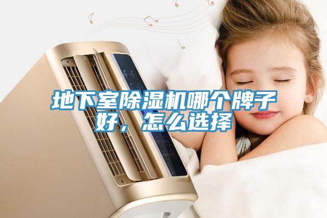 地下室除濕機哪個牌子好，怎么選擇