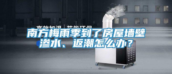 南方梅雨季到了房屋墻壁滲水、返潮怎么辦？