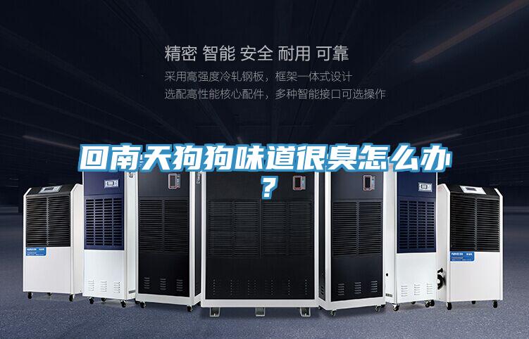回南天狗狗味道很臭怎么辦？