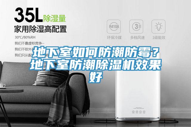 地下室如何防潮防霉？地下室防潮除濕機(jī)效果好