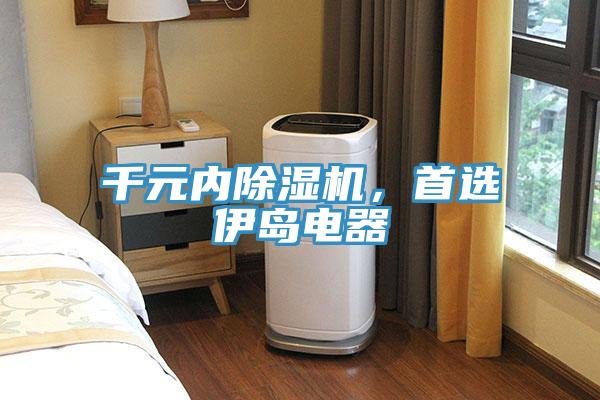 千元內(nèi)除濕機，首選伊島電器