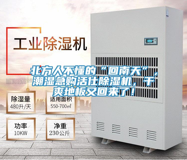 北方人不懂的“回南天”，潮濕急購(gòu)活仕除濕機(jī)，干爽地板又回來了！
