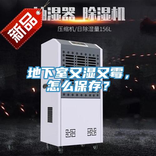 地下室又濕又霉，怎么保存？