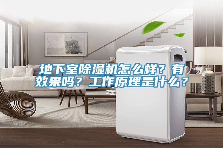 地下室除濕機怎么樣？有效果嗎？工作原理是什么？