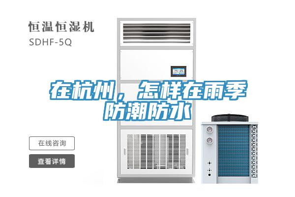 在杭州，怎樣在雨季防潮防水