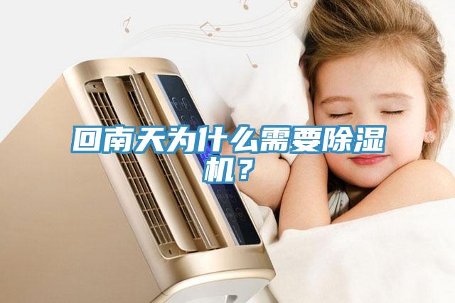 回南天為什么需要除濕機？