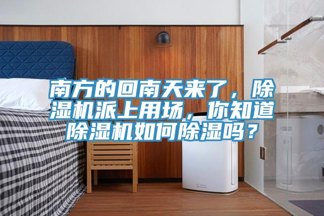 南方的回南天來了，除濕機派上用場，你知道除濕機如何除濕嗎？