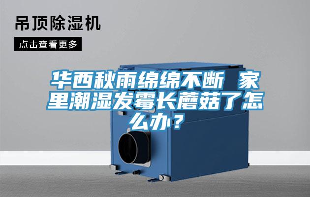 華西秋雨綿綿不斷 家里潮濕發(fā)霉長(zhǎng)蘑菇了怎么辦？