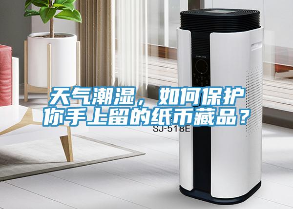 天氣潮濕，如何保護(hù)你手上留的紙幣藏品？