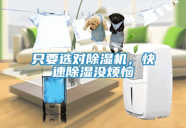 只要選對除濕機，快速除濕沒煩惱