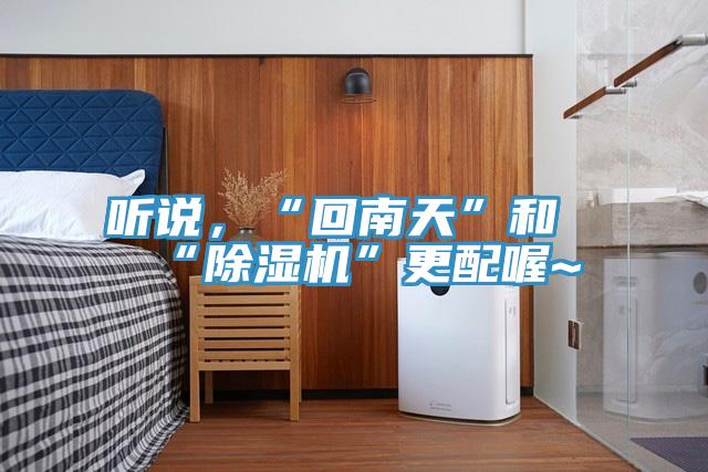 聽說，“回南天”和“除濕機(jī)”更配喔~