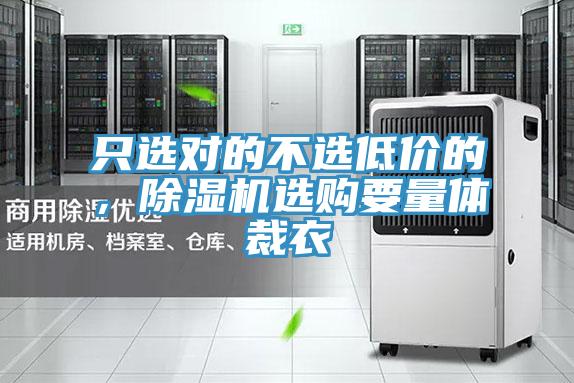 只選對的不選低價的，除濕機選購要量體裁衣