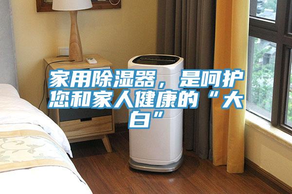 家用除濕器，是呵護您和家人健康的“大白”