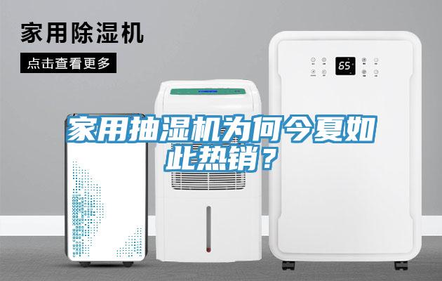 家用抽濕機為何今夏如此熱銷？