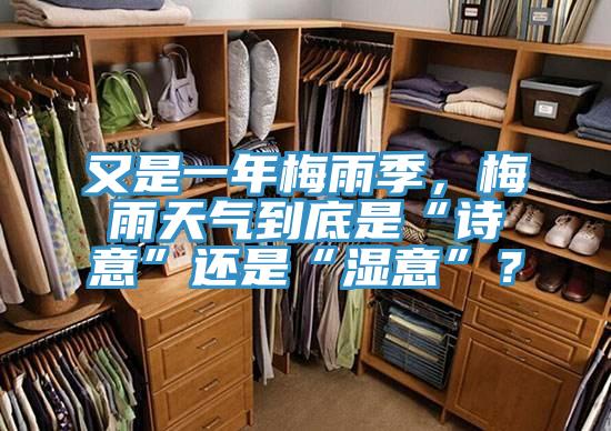 又是一年梅雨季，梅雨天氣到底是“詩(shī)意”還是“濕意”？