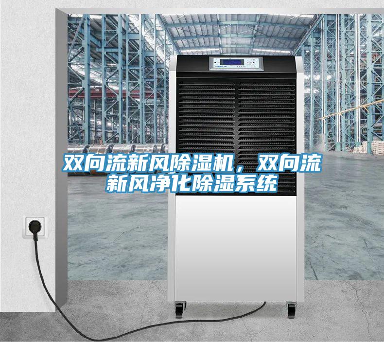 雙向流新風除濕機，雙向流新風凈化除濕系統(tǒng)