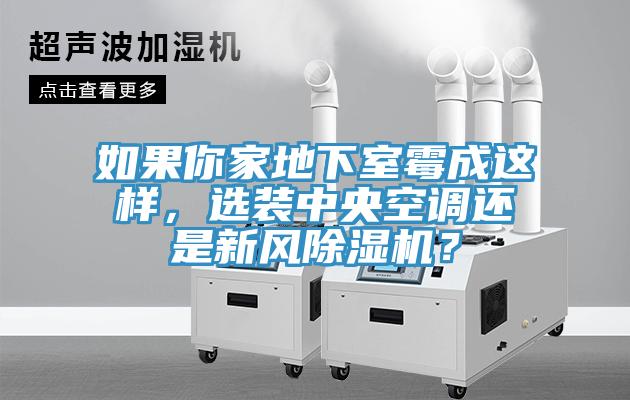 如果你家地下室霉成這樣，選裝中央空調(diào)還是新風(fēng)除濕機(jī)？