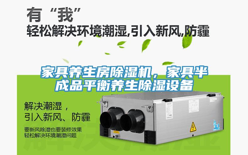 家具養(yǎng)生房除濕機，家具半成品平衡養(yǎng)生除濕設備