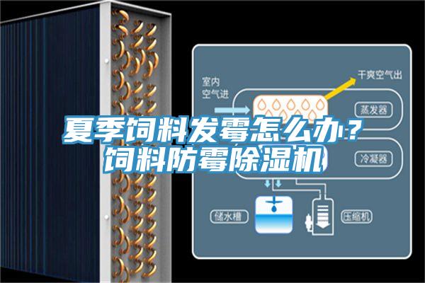 夏季飼料發(fā)霉怎么辦？飼料防霉除濕機