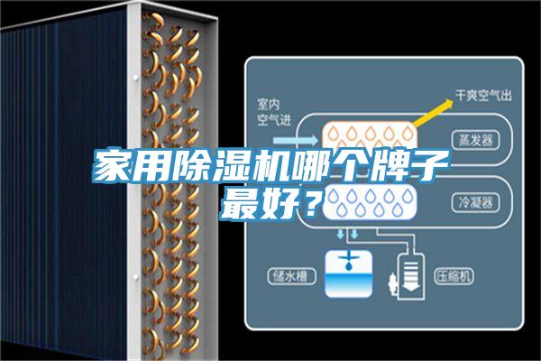 家用除濕機(jī)哪個牌子最好？
