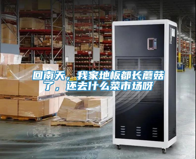 回南天，我家地板都長蘑菇了，還去什么菜市場呀