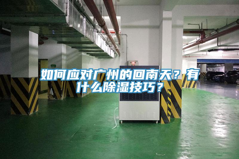如何應(yīng)對廣州的回南天？有什么除濕技巧？