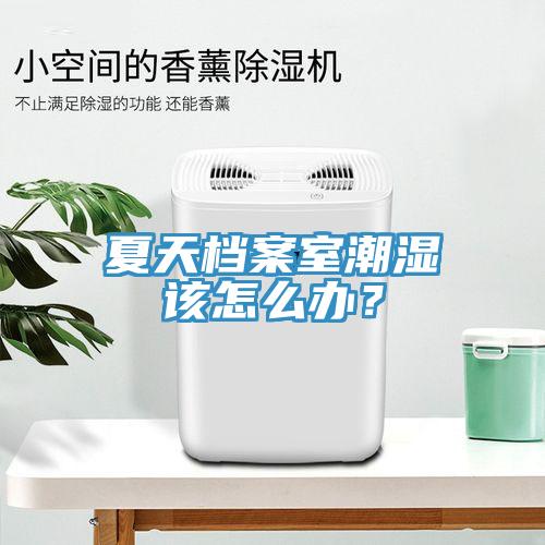 夏天檔案室潮濕該怎么辦？