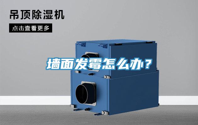 墻面發(fā)霉怎么辦？