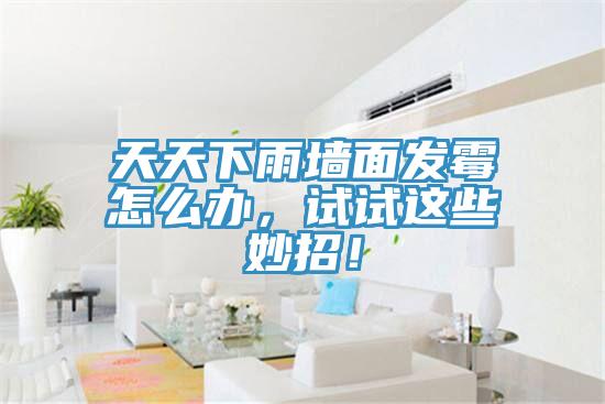 天天下雨墻面發(fā)霉怎么辦，試試這些妙招！