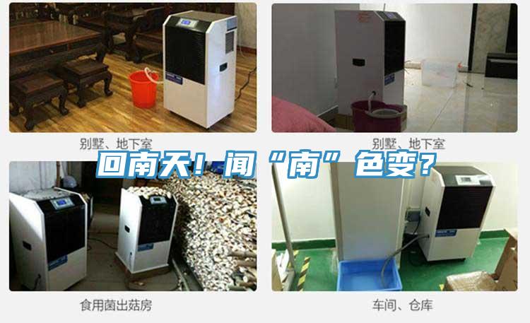 回南天！聞“南”色變？